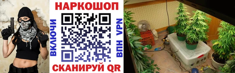 Наркотические вещества Луга Кокаин  Марихуана  АМФ  ГАШ  МЕФ 