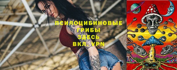PSILOCYBIN Балахна