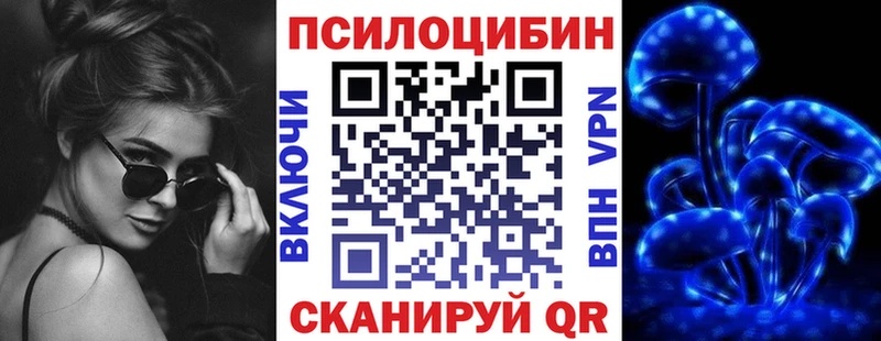 Псилоцибиновые грибы Psilocybine cubensis  Луга 