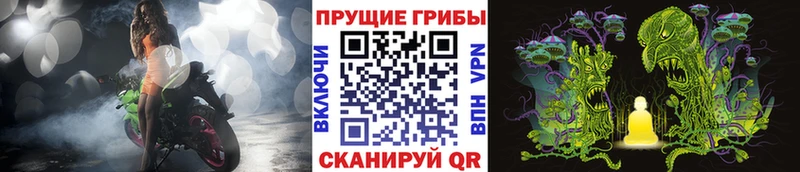 Галлюциногенные грибы ЛСД Луга